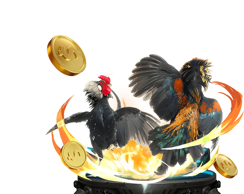 Hoàn Trả Cược Thua Hàng Tuần 798bet Casino